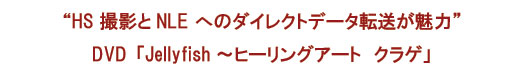 “HS 撮影とNLE へのダイレクトデータ転送が魅力”DVD「Jellyfish～ヒーリングアート　クラゲ」